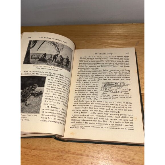 New Biology By Smallwood-Reveley-Bailey Hardcover 1948 Edition Science Book - Picture 14 of 16